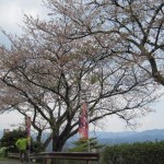 11-04-29asakawa-machi (11)_400