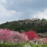 11-04-29asakawa-machi (17)_400