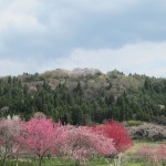 11-04-29asakawa-machi (22)