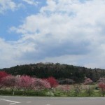 11-04-29asakawa-machi (23)_400