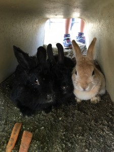 00699690-B786-4FD6-8F90-80A6A3BD1365