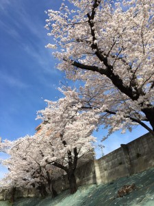 7DB349B0-4136-4EC8-8D8A-DC8C4489A3B9