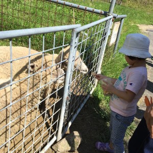 C7A00564-D128-407F-9A31-5D77F4D0A457