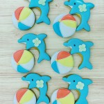 イルカとボール