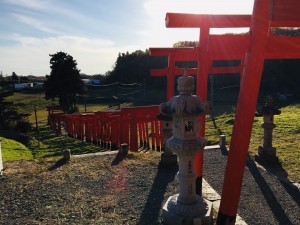 55B595E6-E0F7-4DC0-A9CF-9F91DDC9A6CD