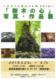 323樹木の心