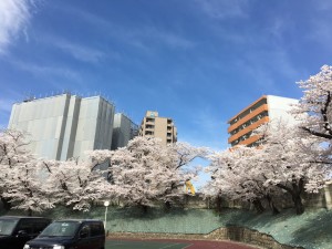 2E3B3ED8-9A1A-4D02-9179-439E0EC74173