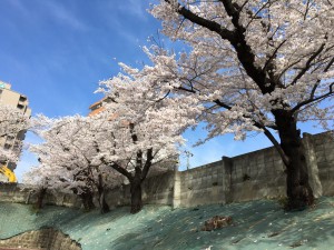 3FC3061D-5E8B-4AB1-9E75-2BF73343291B