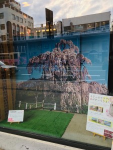 919DC0DB-6567-4E9F-9034-9E8BFF018E50