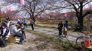 47 あさか野さくらまつり_190407_0012