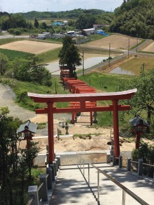20190517 高屋敷稲荷神社_190526_0011