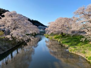 いしかわ桜谷スプリングフェスタ開催！