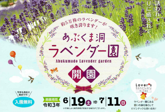 あぶくま洞 ラベンダー園 開園 6月19日 土 7月11日 日