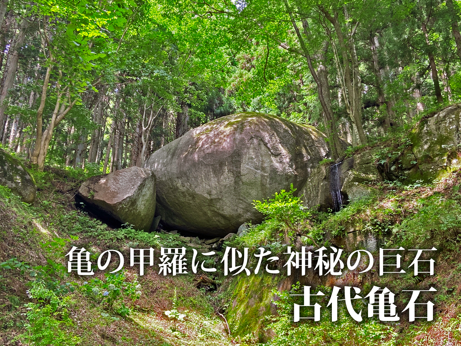 田村市スポット「古代亀石」へ！（2021年8月11日）