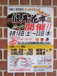 ふぁせるたむら・彼岸花市開催◆9月18日（木）~23日（木）