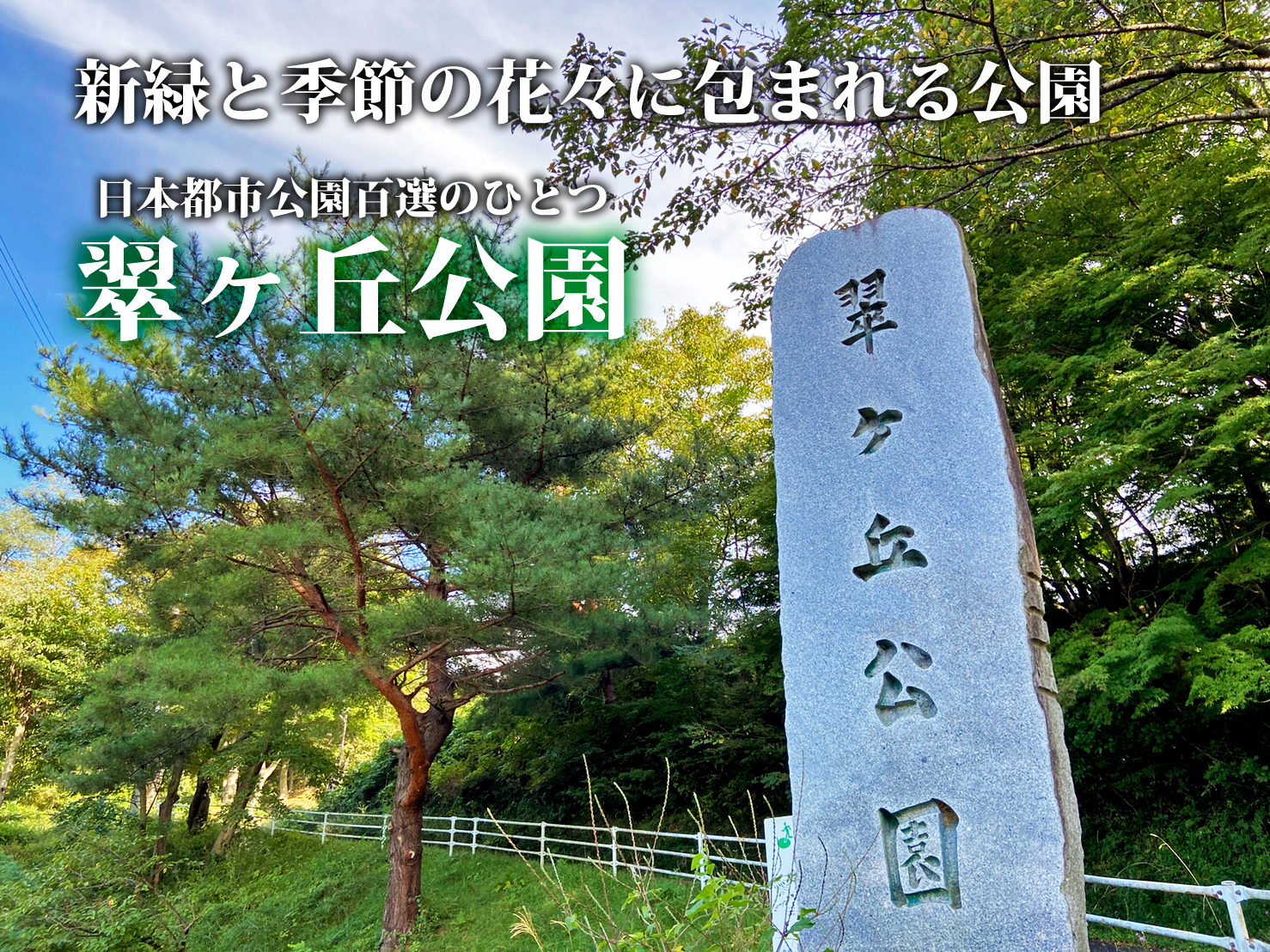 須賀川市スポット、秋の紅葉も美しい「翠ヶ丘公園」へ！（2021年9月22日）