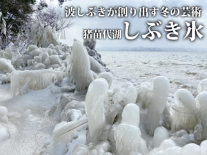 猪苗代町、冬のスポット「しぶき氷」へ！（2021年1月15日）