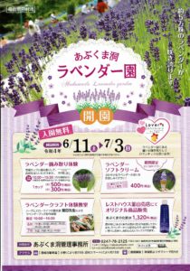 あぶくま洞ラベンダー園◆6月11日(土)～7月3日(日)