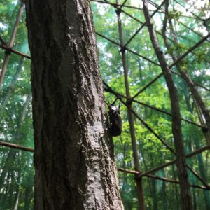 はたらくムシムシくん◆7月16日(土)～8月21日(日)