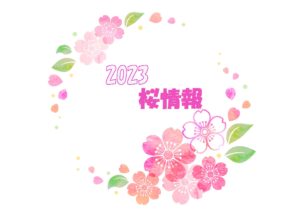 2023年春　桜まつり・ライトアップ情報