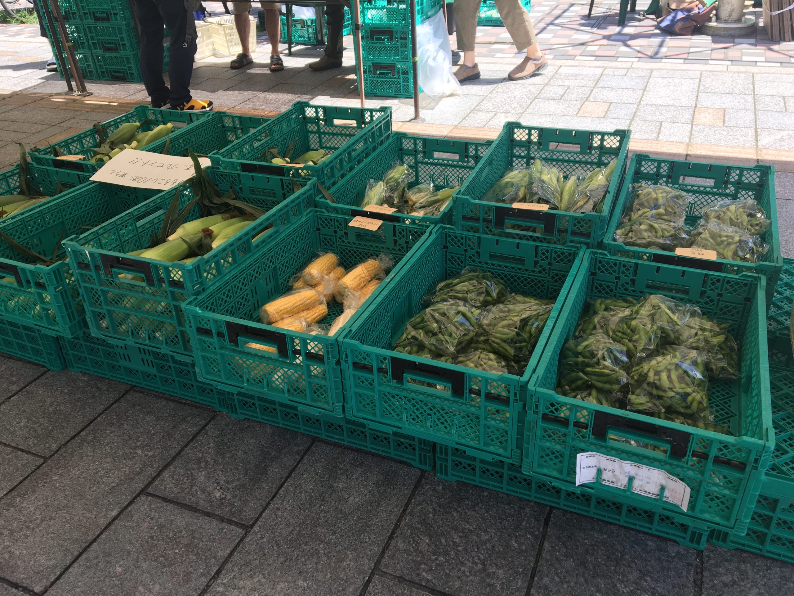 新鮮野菜販売「あぐり市」◆8月11日（金祝）