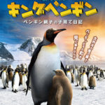 キングペンギン－ペンギン親子の子育て日記－◆2023年12月2日㈯～2024年1月8日(月)