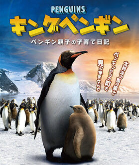 キングペンギン－ペンギン親子の子育て日記－◆2023年12月2日㈯～2024年1月8日(月)