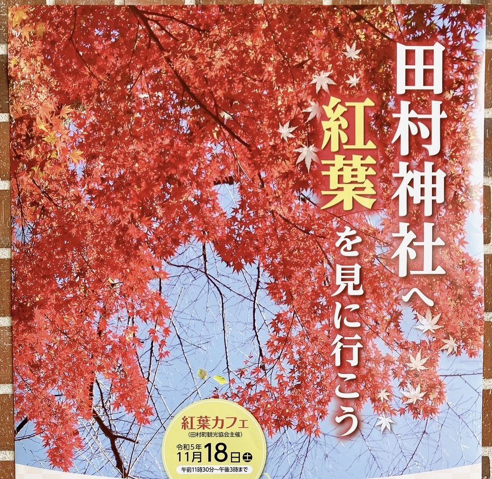 田村神社へ紅葉を見に行こう！◆11月25日(土)まで