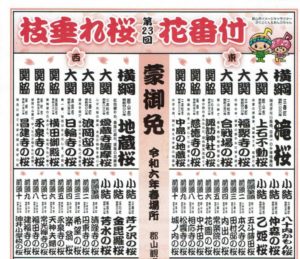 「第23回枝垂れ桜花番付」が届きました！