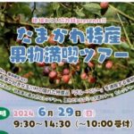 画像に alt 属性が指定されていません。ファイル名: -1-718x1024.jpg