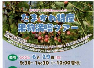 画像に alt 属性が指定されていません。ファイル名: -1-718x1024.jpg