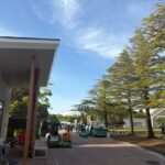 朝市「おはよう市場（開成山公園内）」毎週日曜開催！