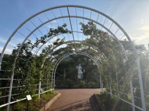 開成山公園バラ園オープン◆5月15日(木)～6月30日(月)