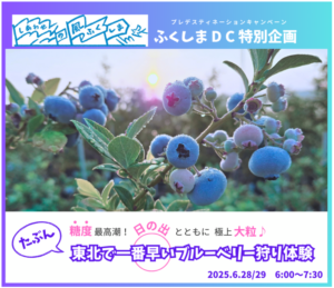 「早朝ブルーベリー狩り体験（6/28・29）」申込受付中！
