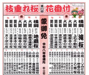 春便り：枝垂れ桜 花番付が届きました。