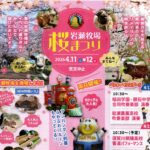 岩瀬牧場･桜まつり◆4月11日(土)･12日(日)