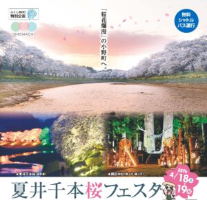 夏井千本桜フェスタ◆4月10日(金)～26日(日)