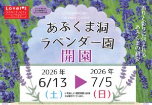 あぶくま洞ラベンダー園開園◆6月13日(土)~7月5日(日)