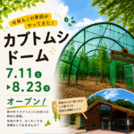 ムシムシランド・カブトムシドームオープン◆7月11日（土）~8月23日（日）