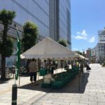 新鮮野菜販売「あぐり市」◆8月16日(日)